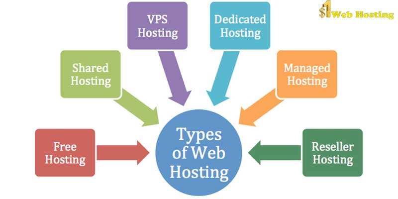 types of web